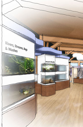 exhibit
conceptual design