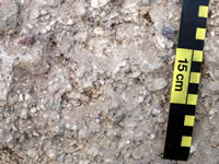 Cerro Toledo interval