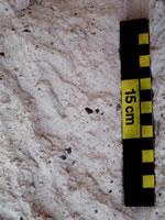 Otowi member of the Bandelier Tuff